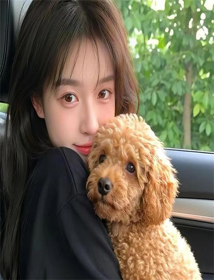 土豪哥的忧伤适合什么人观看？目标观众群体重构分析